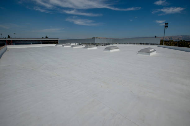 Best 4 Ply Roofing  in Wilson, NC